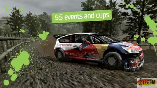 FIA世界拉力錦標(biāo)賽